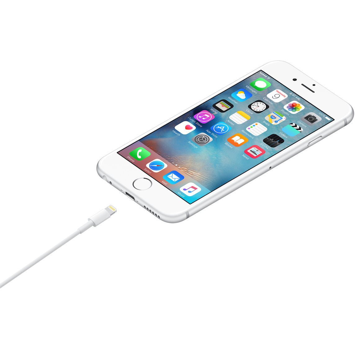 Cavo Apple da Lightning a USB (1 m)